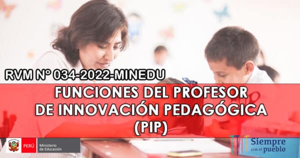 Funciones del Profesor de Innovación Pedagógica (PIP)