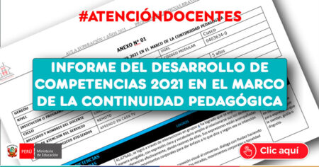 INFORME DEL DESARROLLO DE COMPETENCIAS 2021 EN EL MARCO DE LA CONTINUIDAD PEDAGÓGICA