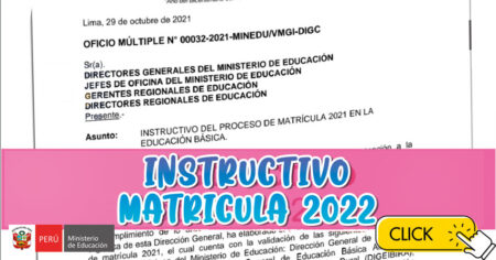 INSTRUCTIVO para el PROCESO de MATRÍCULA 2022