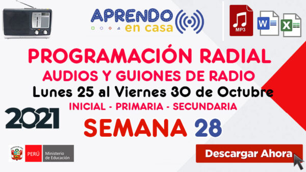 PROGRAMACIÓN RADIAL SEMANA 28 Audios y Guiones (Word – Mp3)
