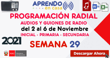 PROGRAMACIÓN RADIAL SEMANA 29 Audios y Guiones (Word – Mp3)