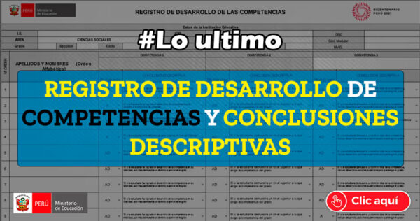 REGISTRO DE DESARROLLO DE COMPETENCIAS Y CONCLUCIONES DESCRIPTIVAS